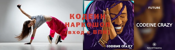 сатива Лабытнанги