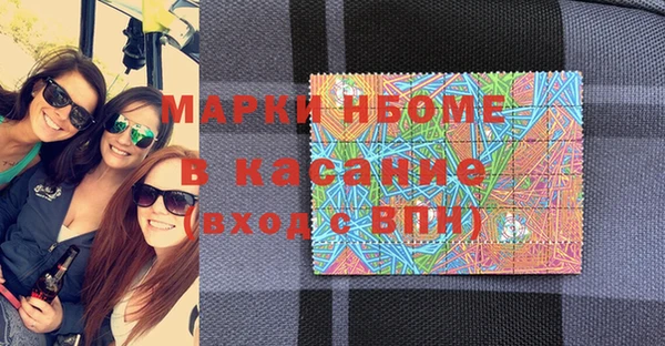 сатива Лабытнанги